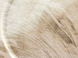 前端优化使用技巧优化WebSocket连接管理